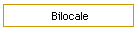 Bilocale