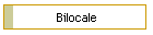 Bilocale